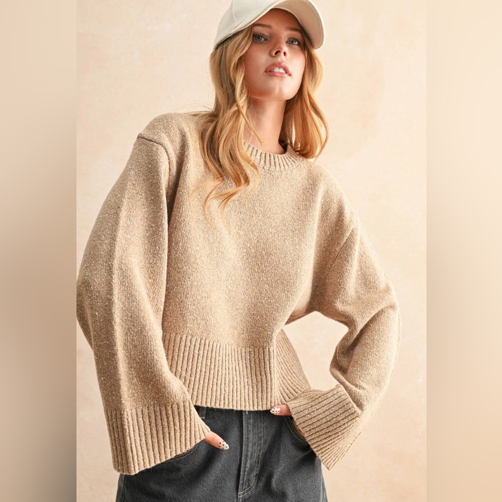 Miou Muse Taylor Speckled Crewneck Sweater NWT